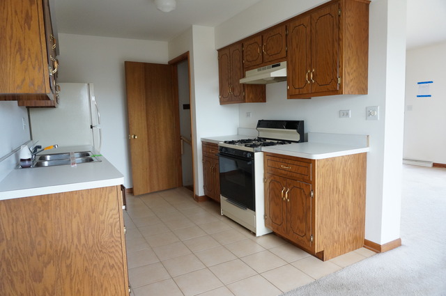 754 Lake Road, Unit 754 New Lenox, IL 60451 - Photo 10 of 15