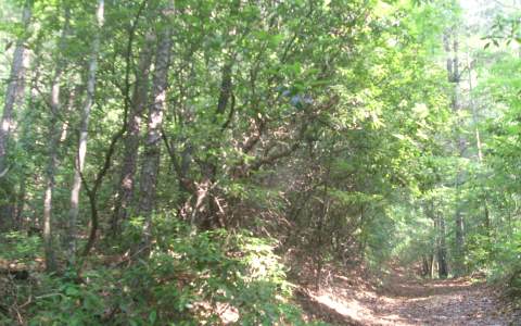 10-ac Ridgetop Road Murphy, NC 28906 - Photo 1 of 1 Main View