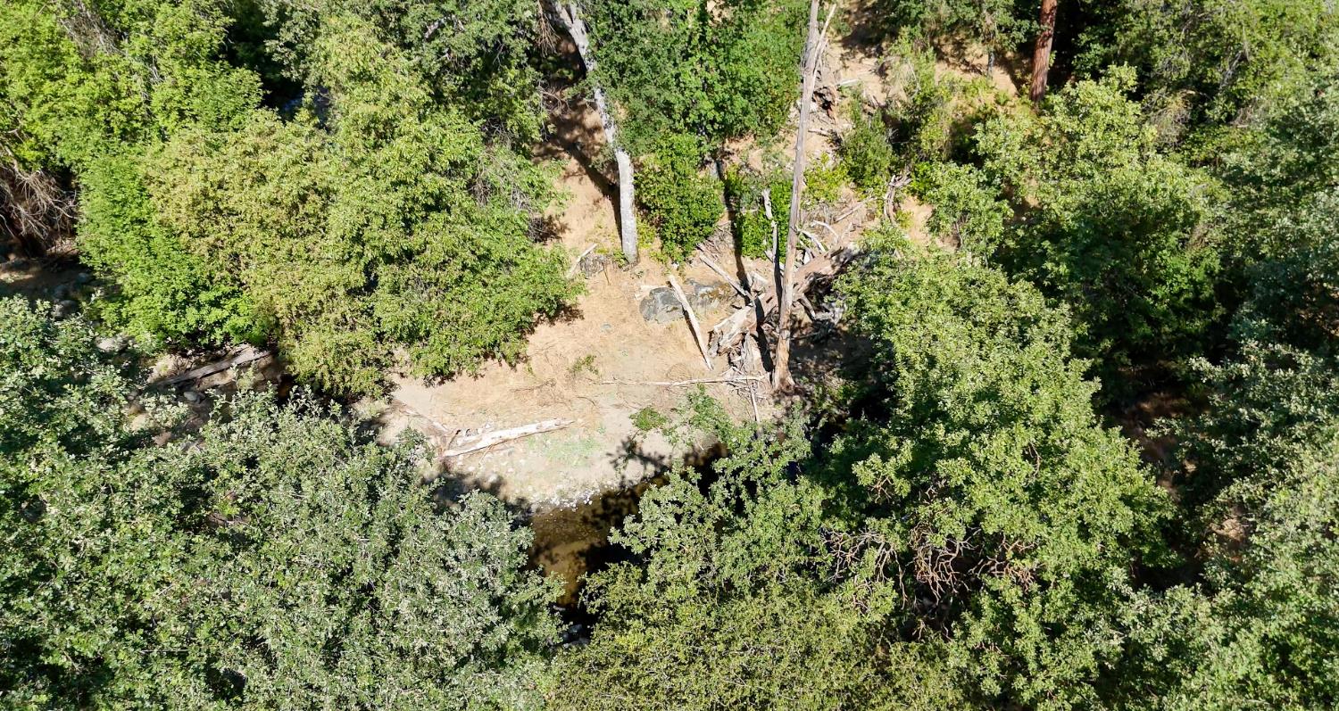 0 Whitaker Forest Road Miramonte, CA 93603 - Photo 59 of 78 a view of a forest with a tree