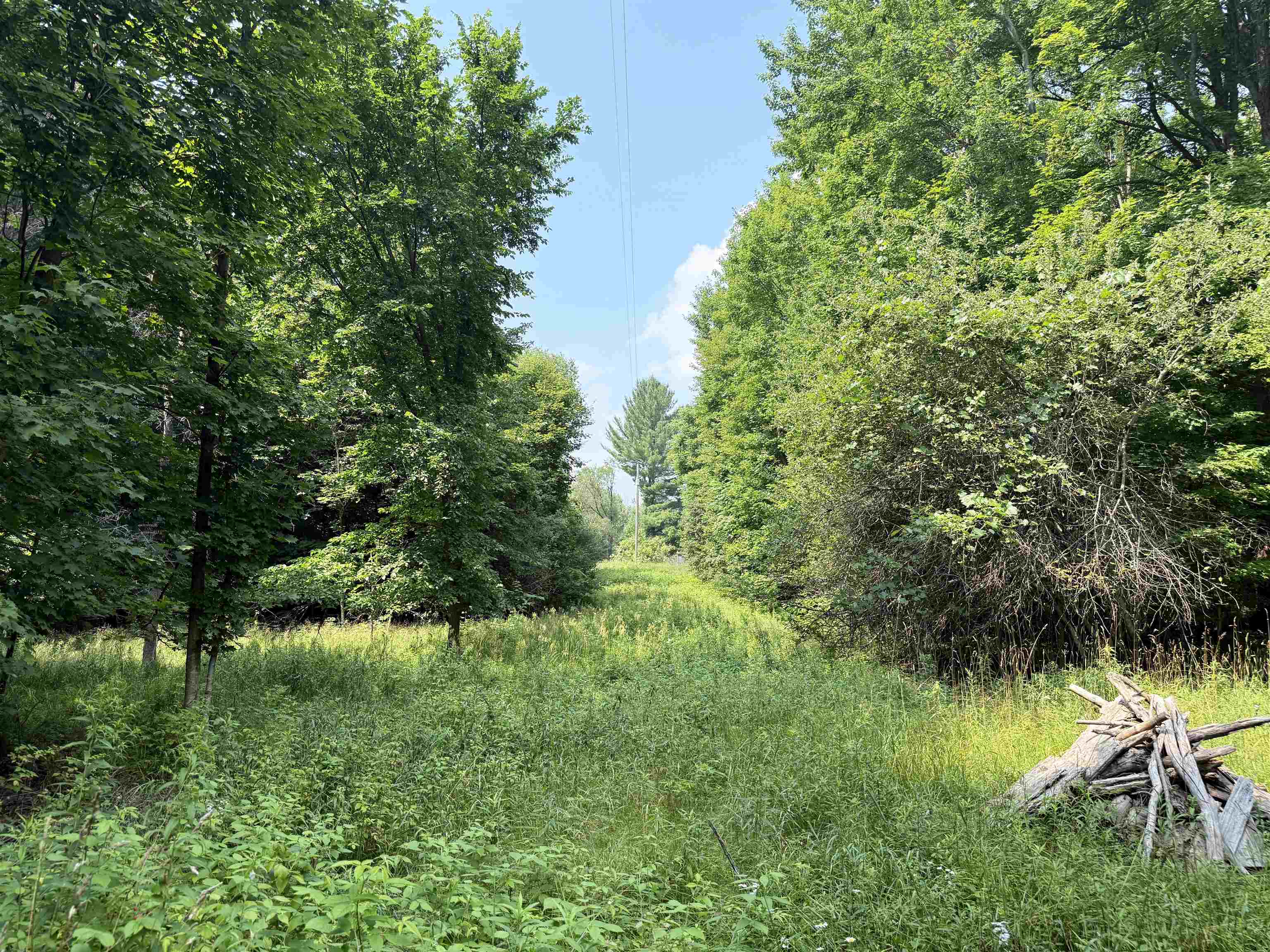 Crouch Road Fife Lake, MI 49633 - Photo 19 of 30 Gallery Image 19