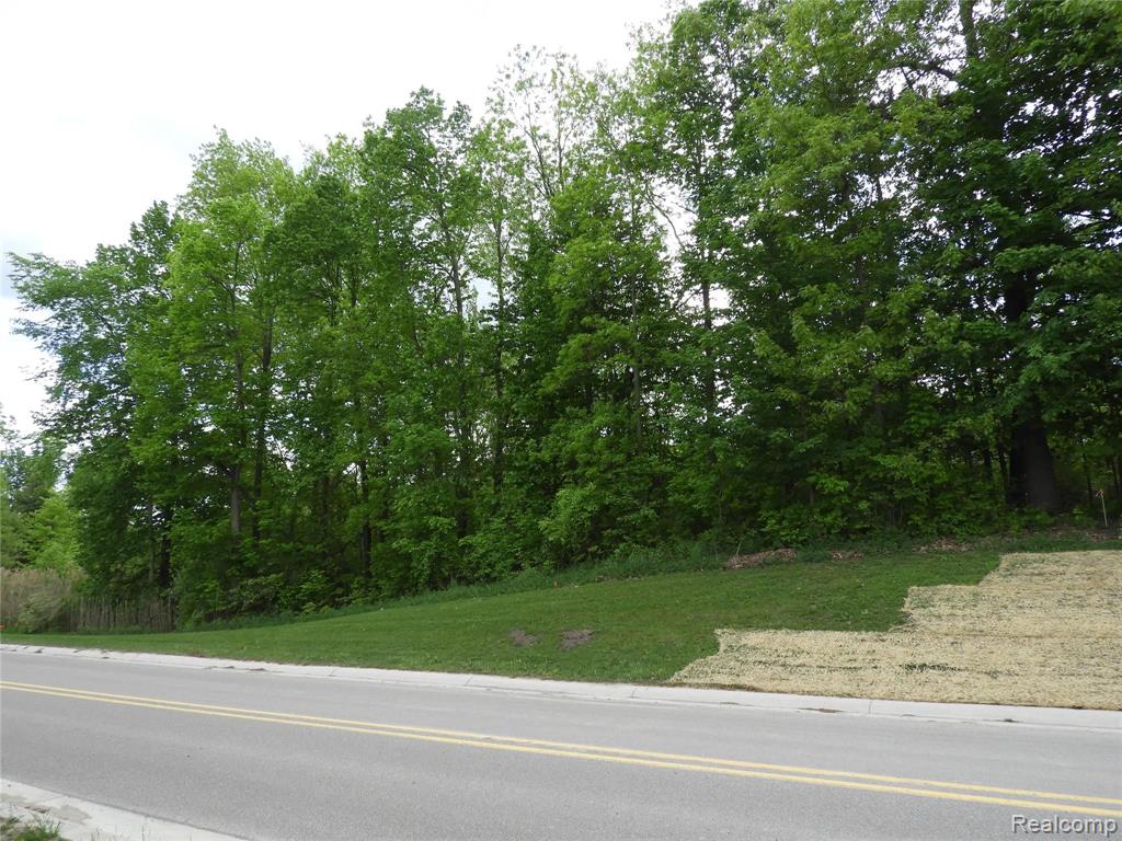 6120 Sheldon Road Rochester Hills, MI 48306 - Photo 4 of 8