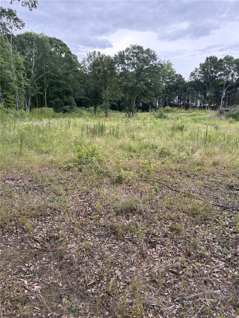 Lot 5 Flat Rock Road Iva, SC 29655 - Photo 2 of 2 Gallery Image 2