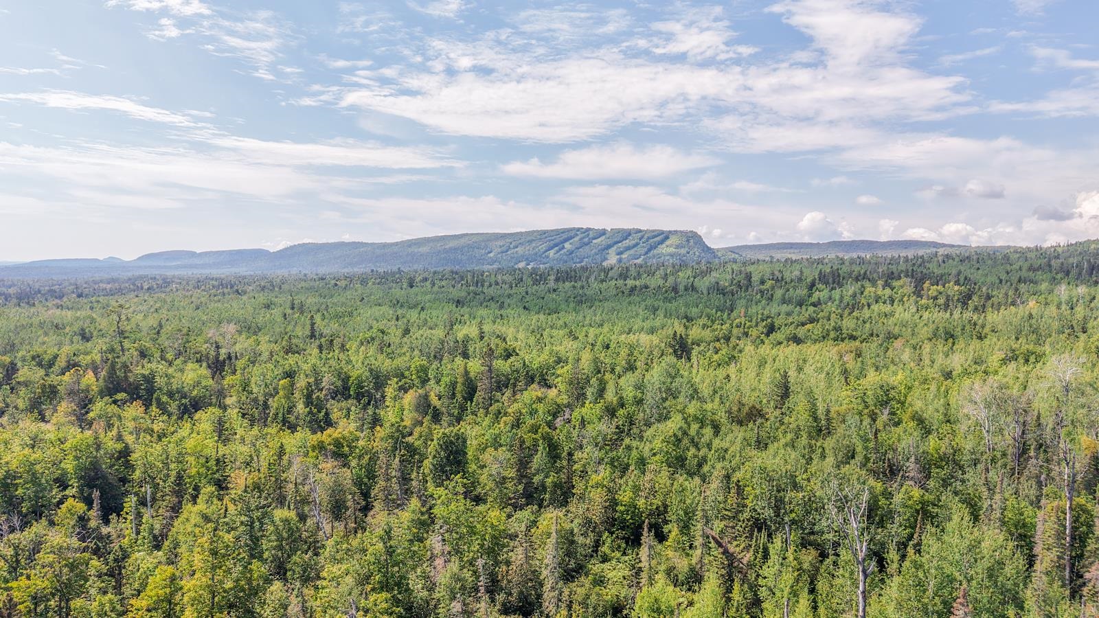 Xxx Mink Ranch Road Lutsen, MN 55612 - Photo 2 of 8 View of mountain background with a heavily wooded area