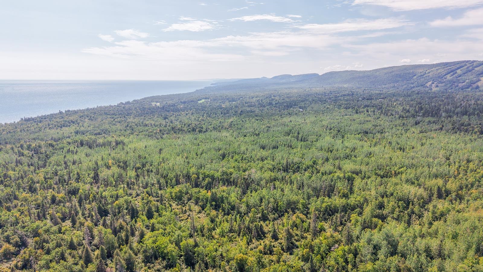 Xxx Mink Ranch Road Lutsen, MN 55612 - Photo 3 of 8 View of mountain background with a forest