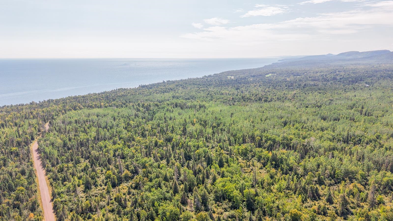Xxx Mink Ranch Road Lutsen, MN 55612 - Photo 4 of 8 Bird's eye view of a forest