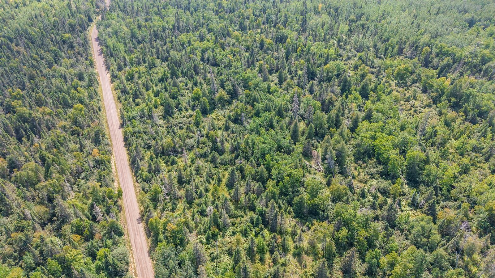 Xxx Mink Ranch Road Lutsen, MN 55612 - Photo 5 of 8 Aerial overview of property's location