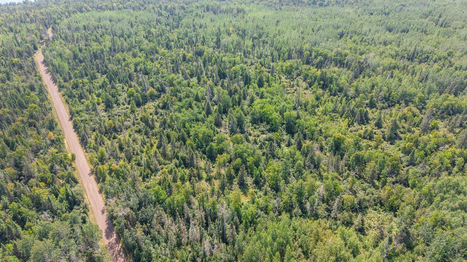 Xxx Mink Ranch Road Lutsen, MN 55612 - Photo 7 of 8 Drone / aerial view