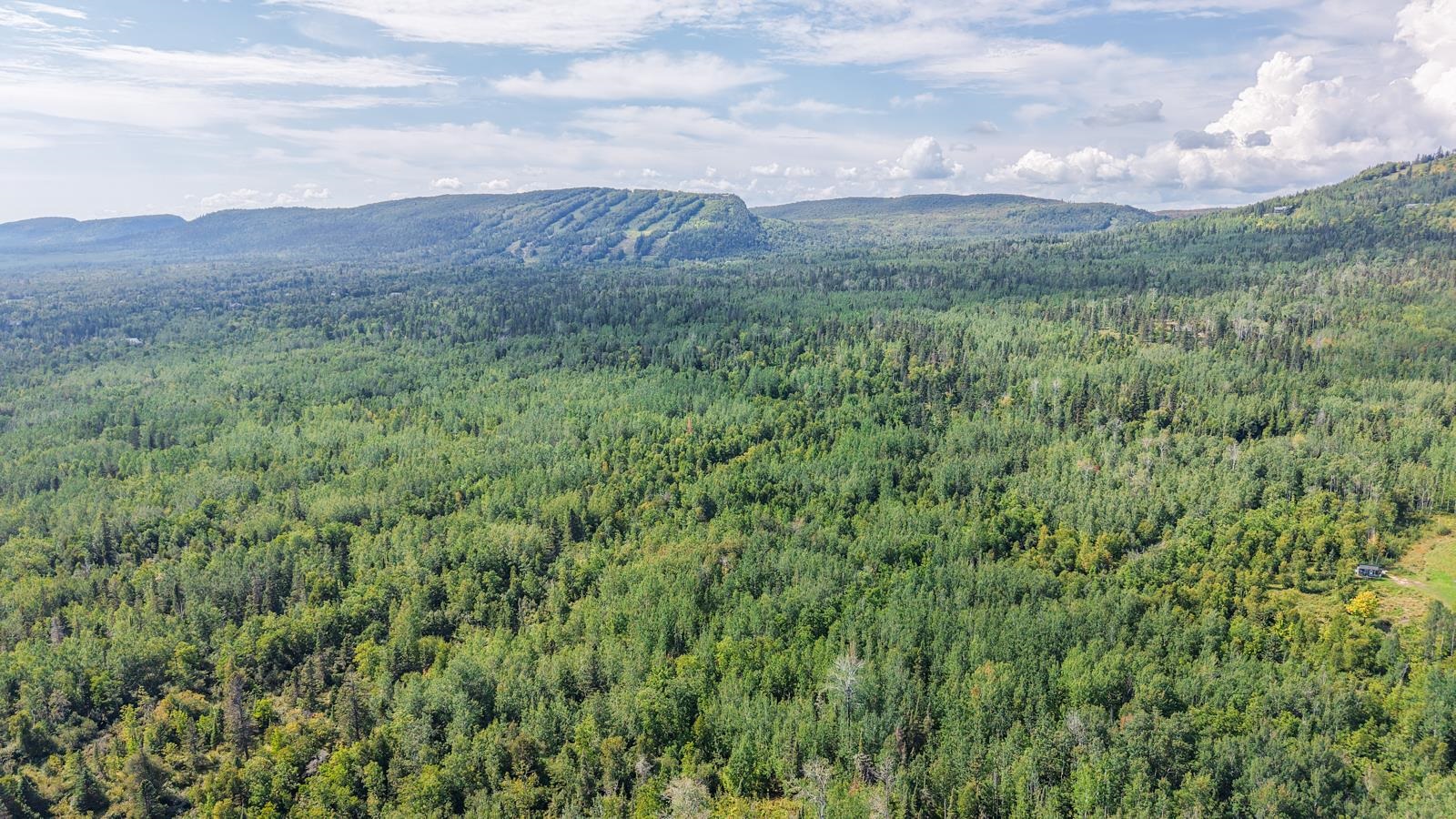 Xxx Mink Ranch Road Lutsen, MN 55612 - Photo 8 of 8 Mountain view with a heavily wooded area