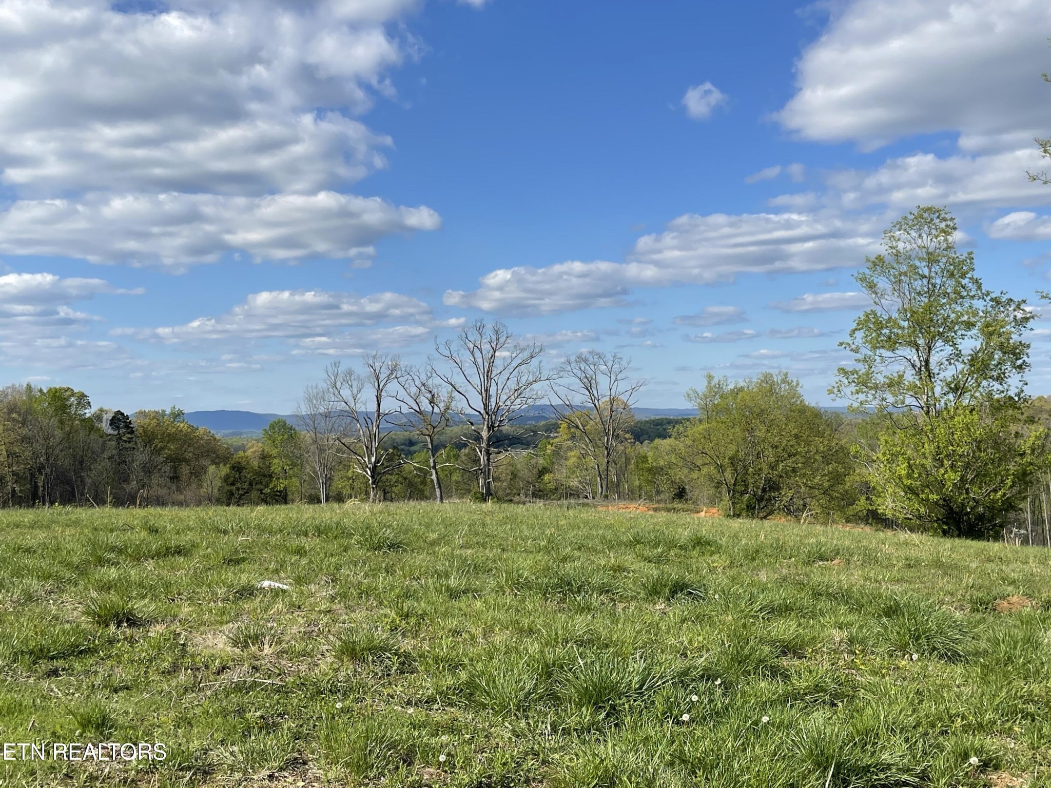 6 Laura Boling Loop Road Strawberry Plains, TN 37871 - Photo 1 of 5 Gallery Image 1