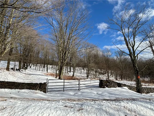 $237,500 | Pasciak Road, Bloomville, NY 13739