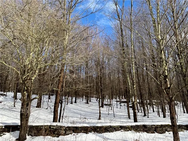 $237,500 | Pasciak Road, Bloomville, NY 13739