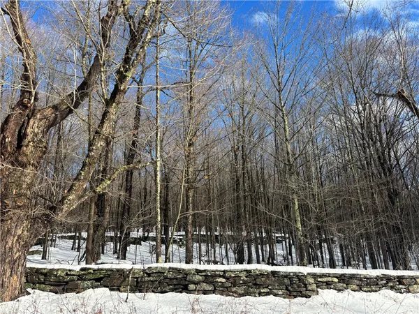 $237,500 | Pasciak Road, Bloomville, NY 13739