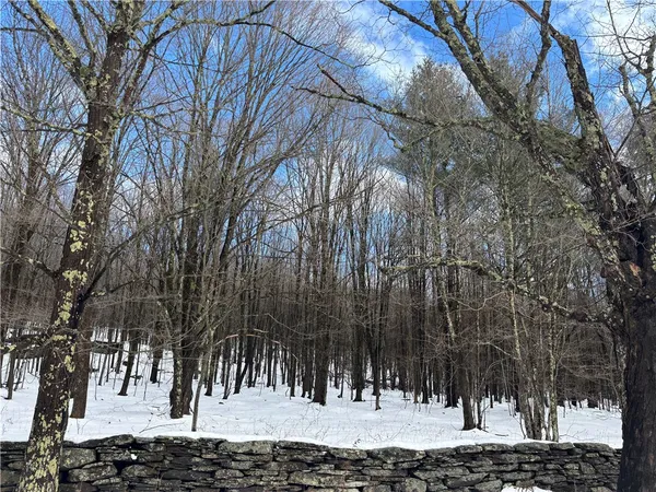 $237,500 | Pasciak Road, Bloomville, NY 13739