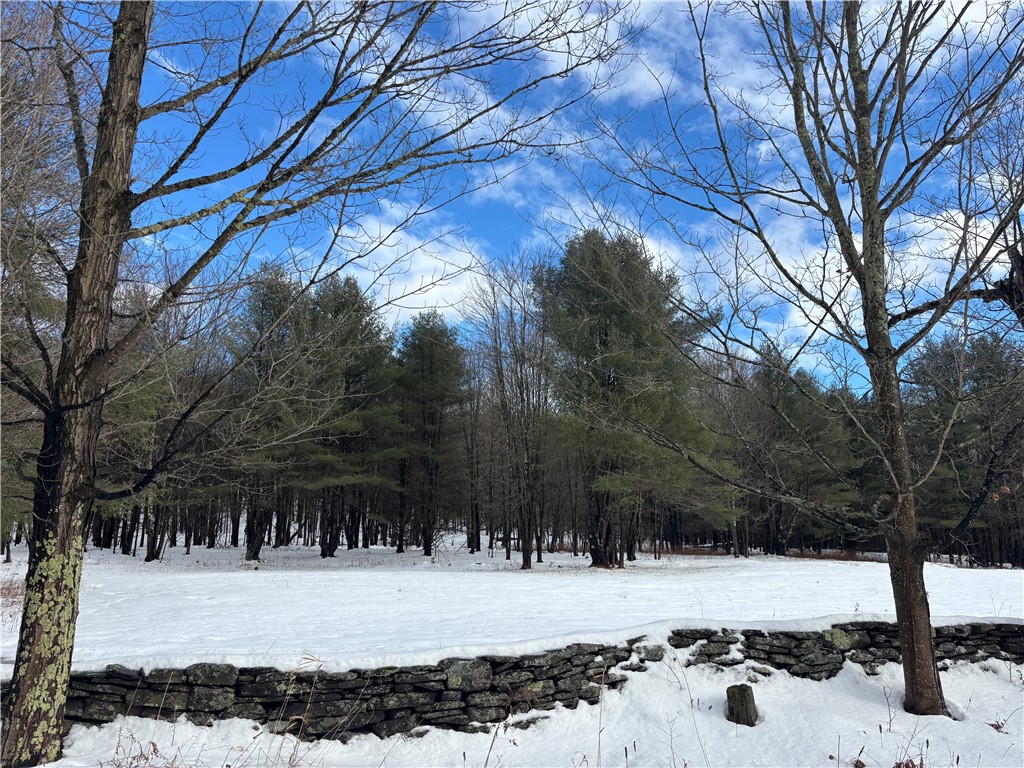 Pasciak Road Bloomville, NY 13739 - Photo 7 of 9