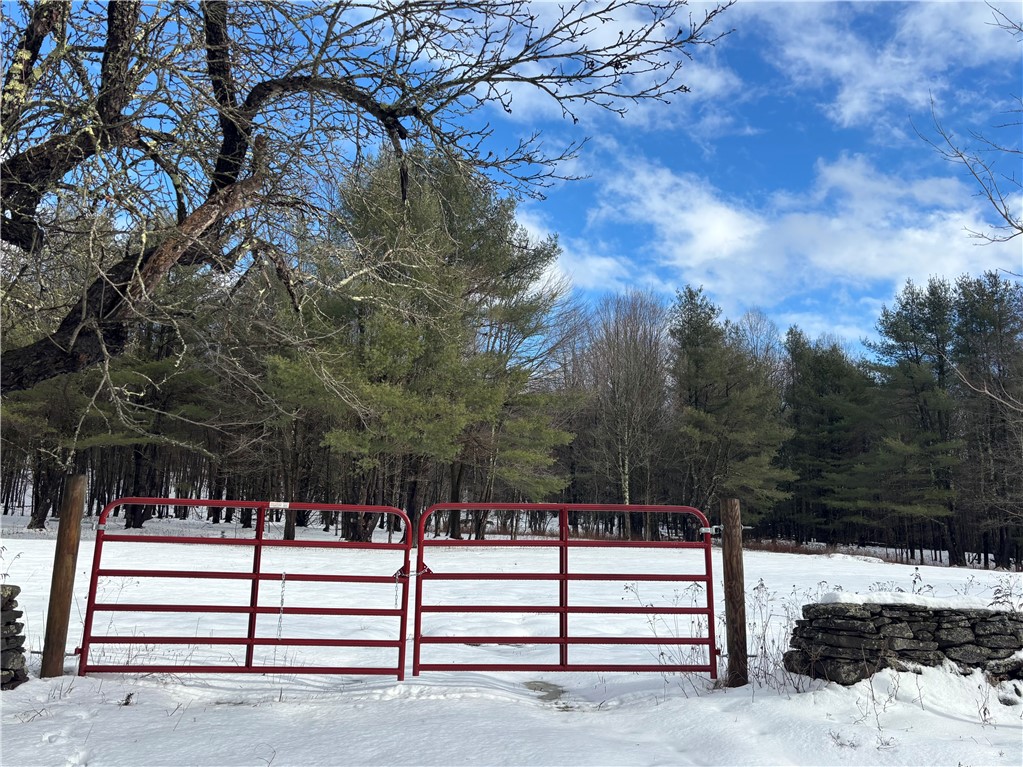 Pasciak Road Bloomville, NY 13739 - Photo 8 of 9