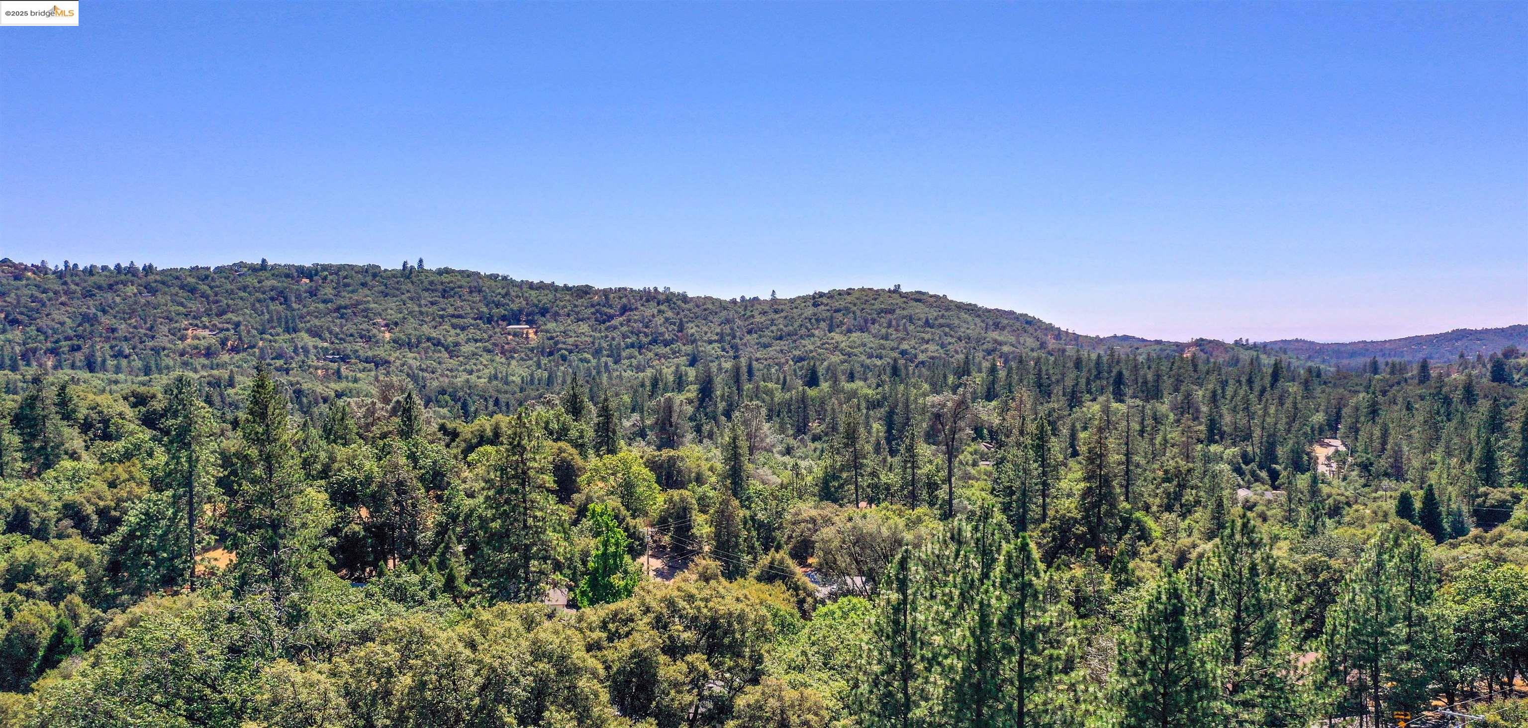 21850 Phoenix Lake Road Sonora, CA 95370 - Photo 6 of 39 a view of a lush green field with a tree in the background