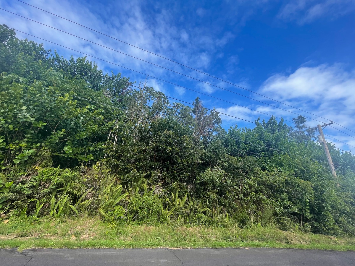 32 Beach Road Keaau, HI 96749 - Photo 13 of 17 Gallery Image 13