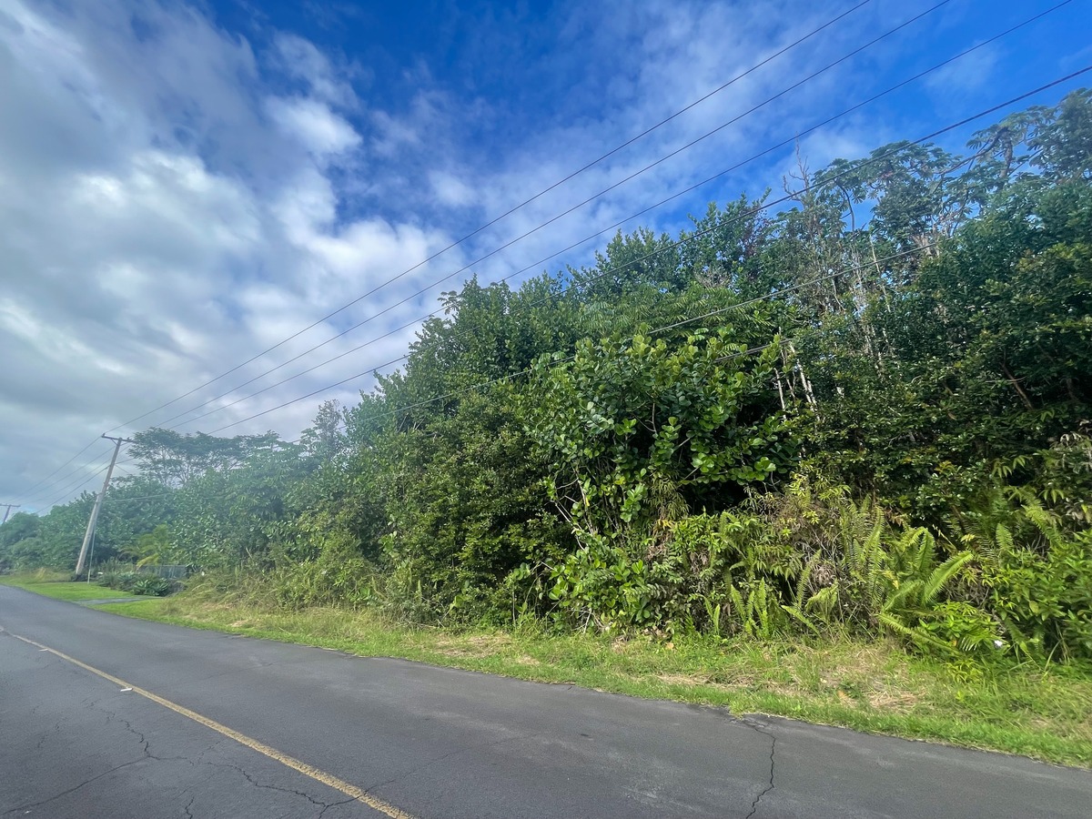 32 Beach Road Keaau, HI 96749 - Photo 14 of 17 Gallery Image 14