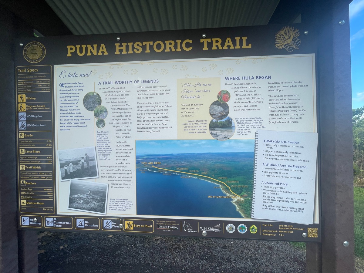 32 Beach Road Keaau, HI 96749 - Photo 17 of 17 Gallery Image 17