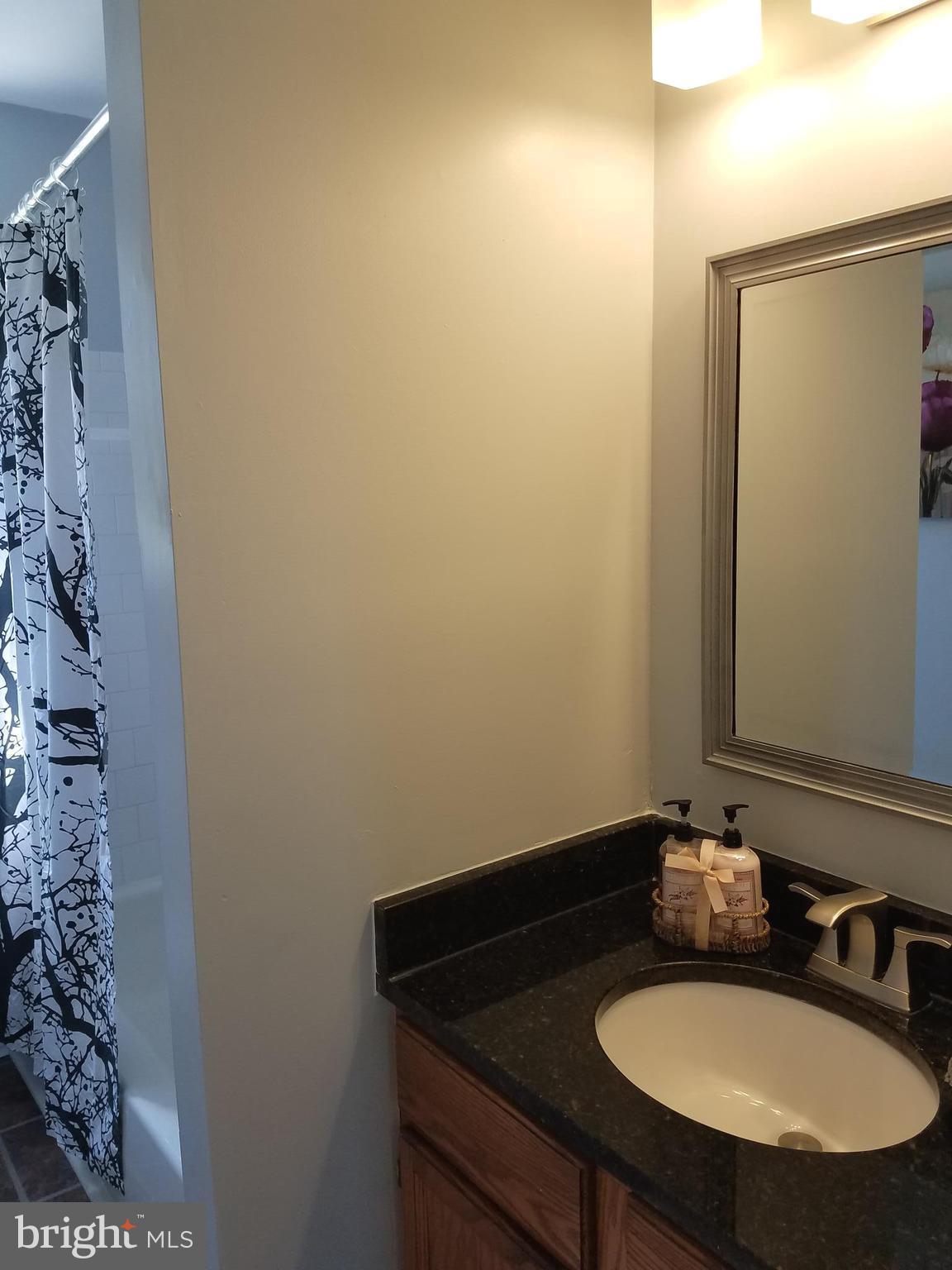 7602 Bentree Road Fort Washington, MD 20744 - Photo 14 of 21 Bath