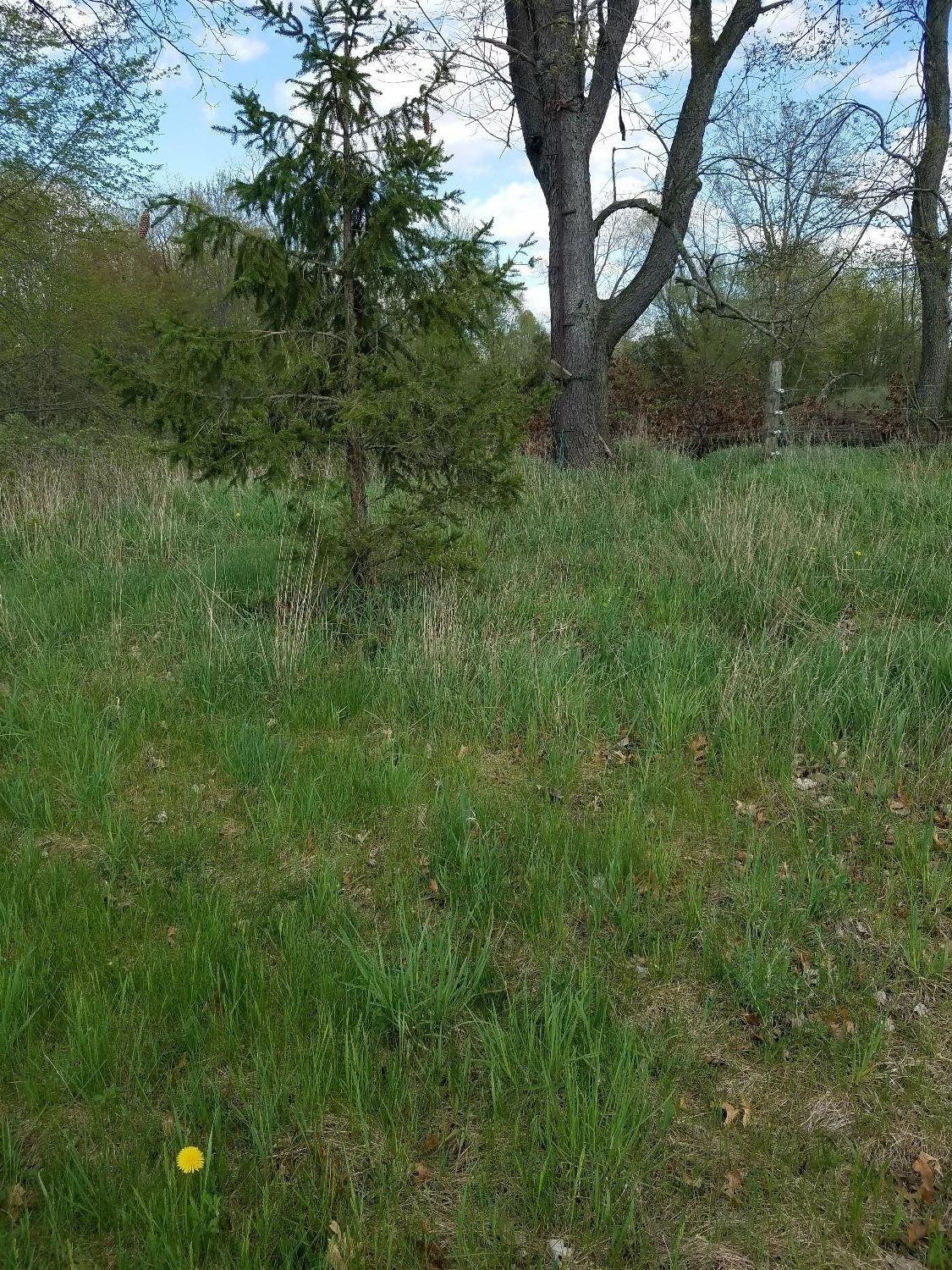 14623 Buss Road Manchester, MI 48158 - Photo 8 of 11 Photo 8