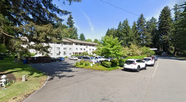 a view of a park with large trees