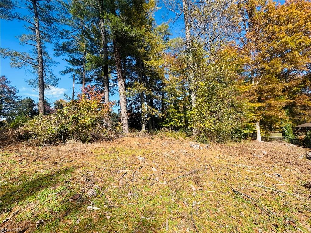 Tbd Old Springs Road Mount Airy, NC 27030 - Photo 2 of 17