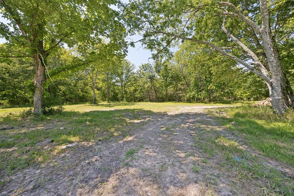 822 Private Road 7370 Point, TX 75472 - Photo 8 of 30