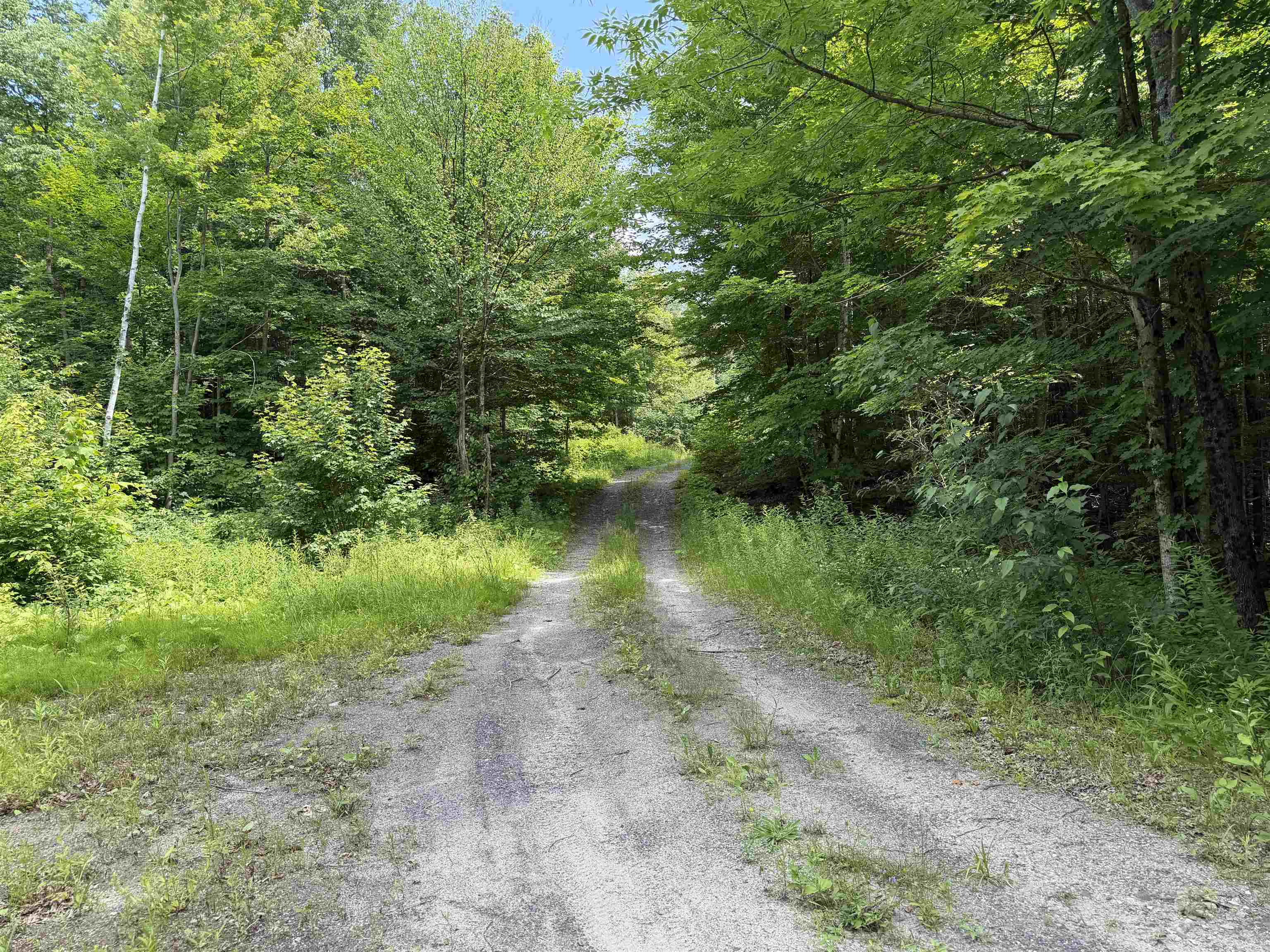 493 Wheeler Mountain Road Barton, VT 05822 - Photo 23 of 48