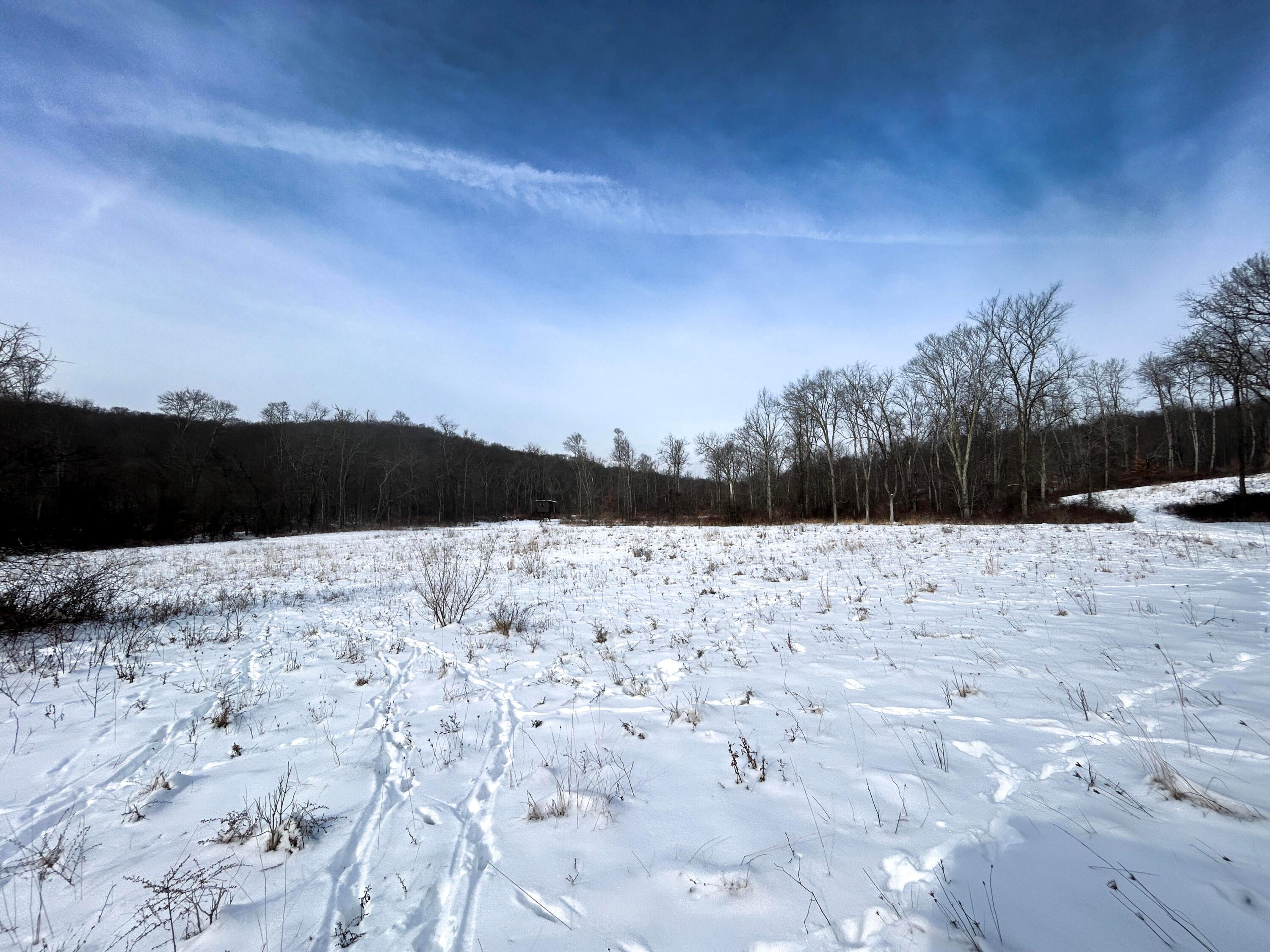 18408 Brushy Fork Road Southeast Hopewell, OH 43746 - Photo 14 of 49 D7