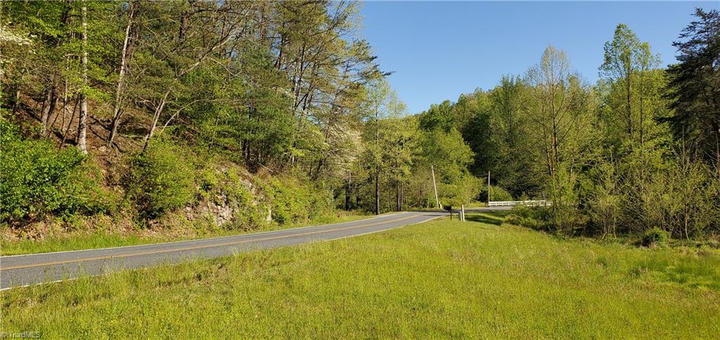571 Big Ivy Road Purlear, NC 28665 - Photo 3 of 8