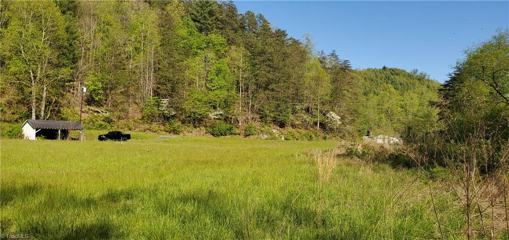 571 Big Ivy Road Purlear, NC 28665 - Photo 6 of 8