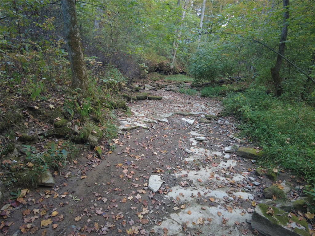 1147 Richey Road Felicity, OH 45120 - Photo 15 of 26 This serene pathway winds through a natural landscape, inviting peaceful exploration and discovery.