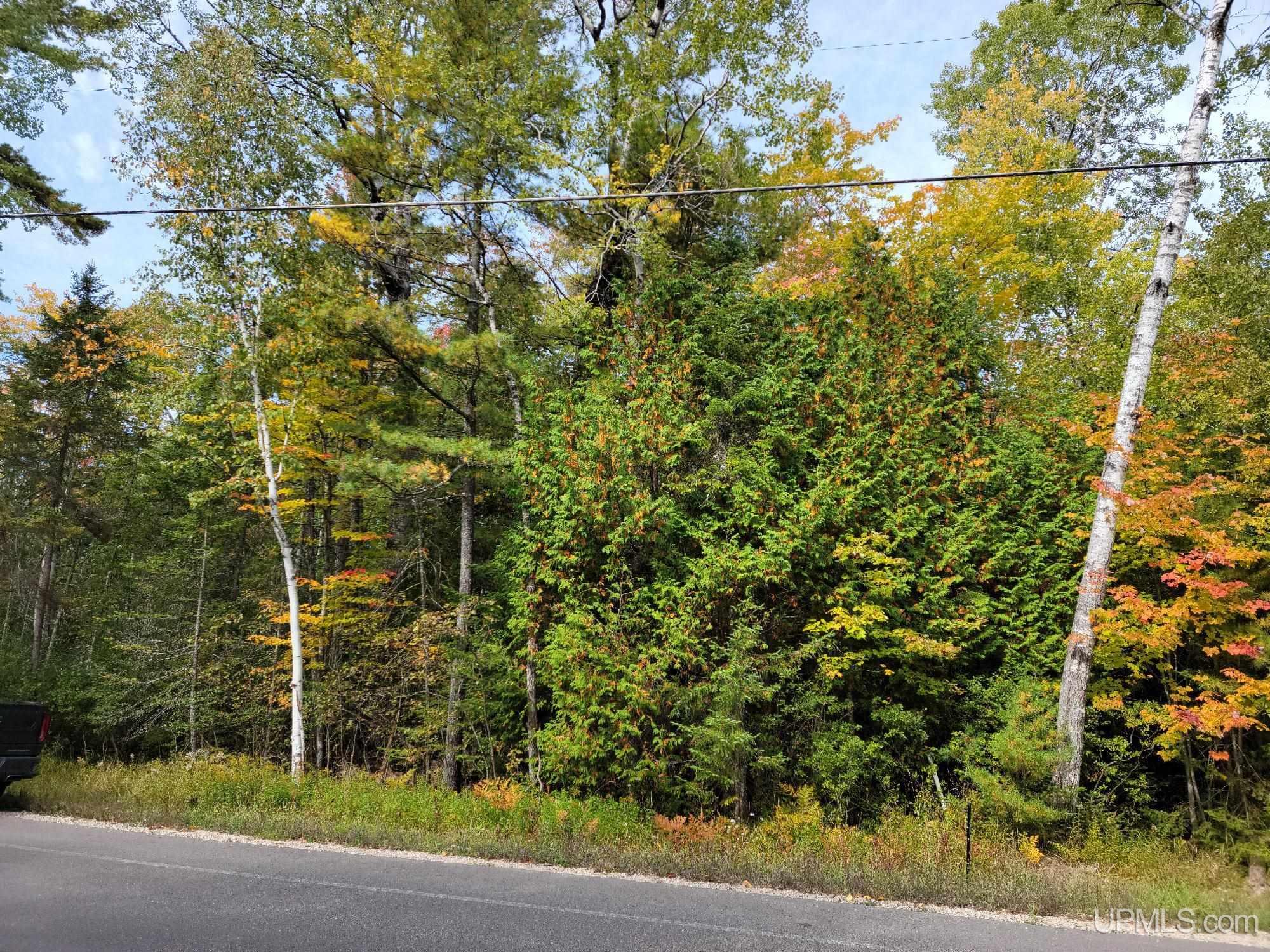 441 Rd Manistique Mi 49854 Road Manistique, MI 49854 - Photo 3 of 7