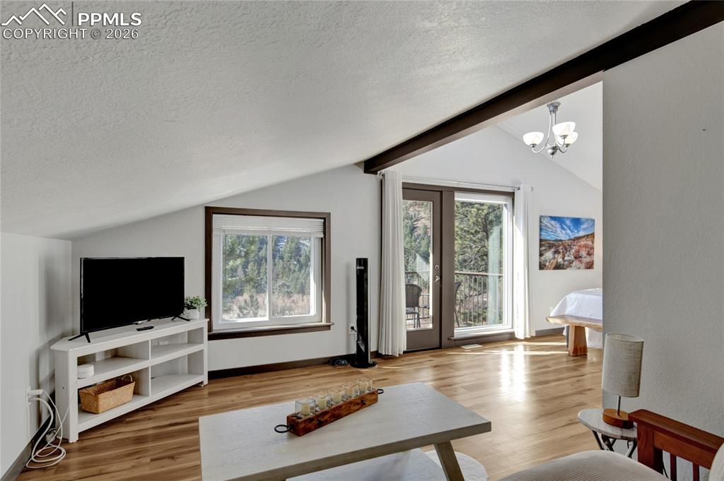 4580 Hagerman Avenue Cascade, CO 80809 - Photo 11 of 39