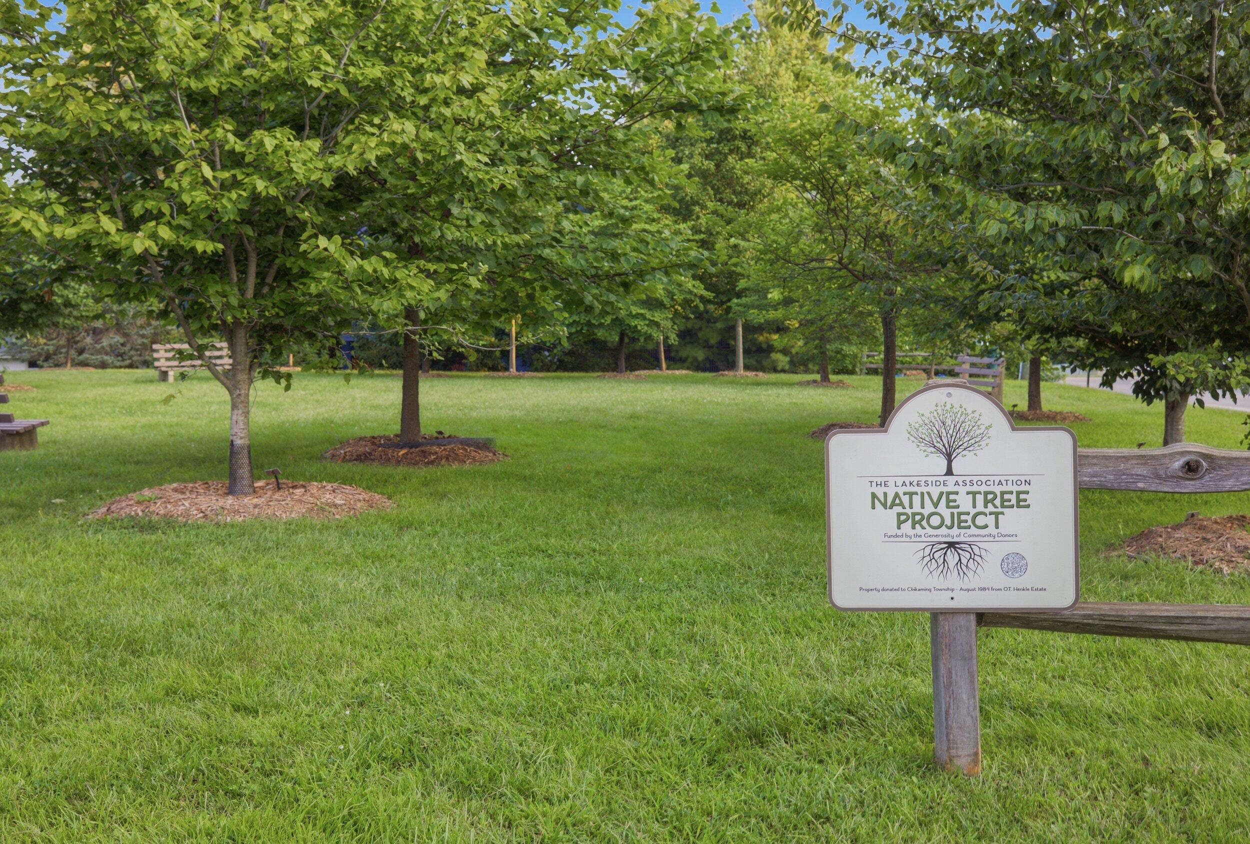 Lakeshore Road Lakeside, MI 49116 - Photo 13 of 21 Lakeside VL