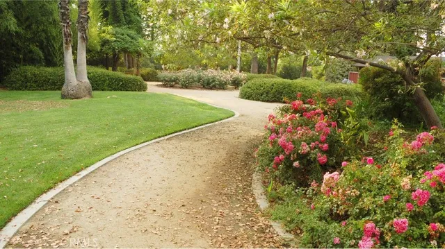 a view of a garden with a fountain and a tree