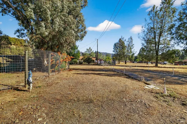 a view of a house with a yard and a large tree
