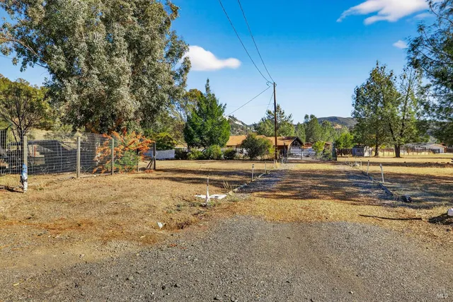 a view of road with large trees