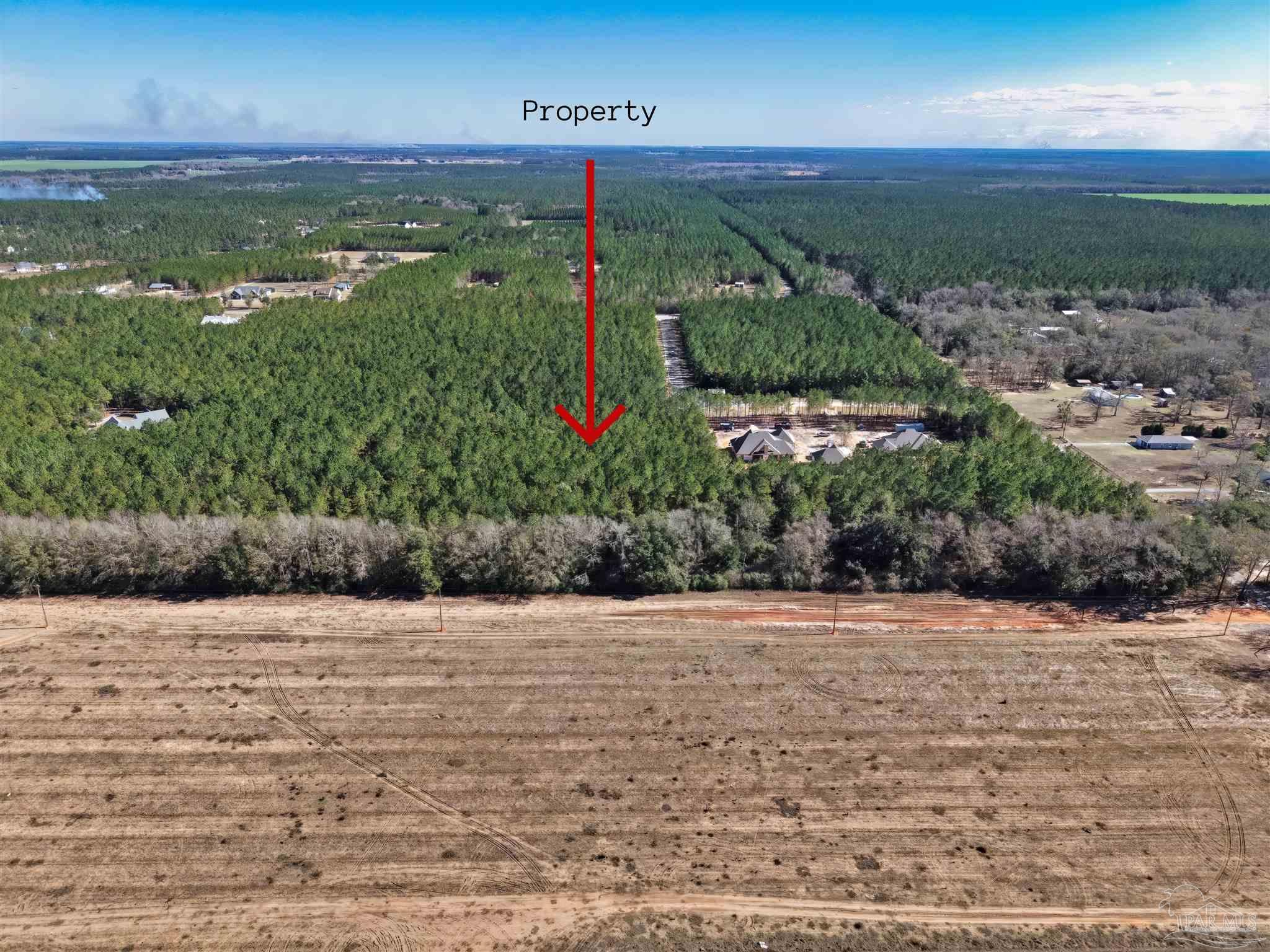 3142 Shearing Road Pace, FL 32571 - Photo 9 of 15