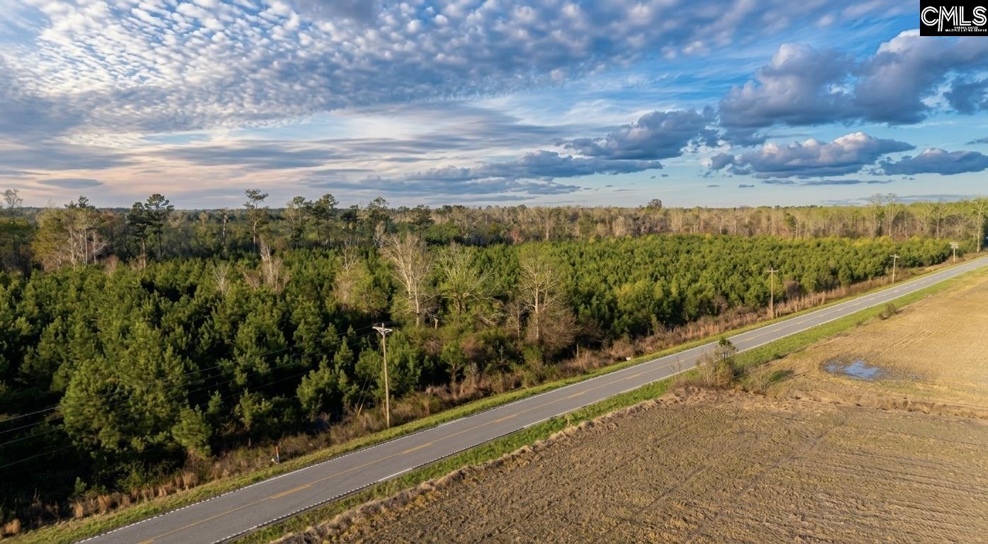 Tbd Bay Road Rowesville, SC 29133 - Photo 1 of 3