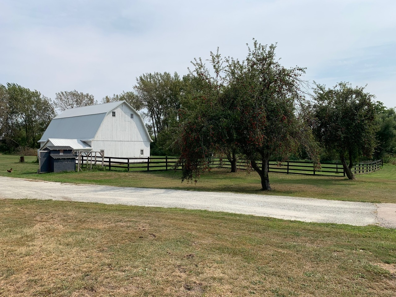 13920 Crosby Road Morrison, IL 61270 - Photo 22 of 30 a view of a house with a yard