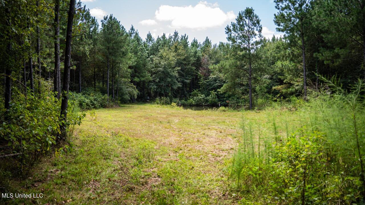 4069 Dixie Garden Road Wesson, MS 39191 - Photo 34 of 45 ZTS05949 Large
