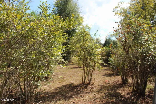 $247,500 | 15003 Bass Drive, Blountstown, FL 32424