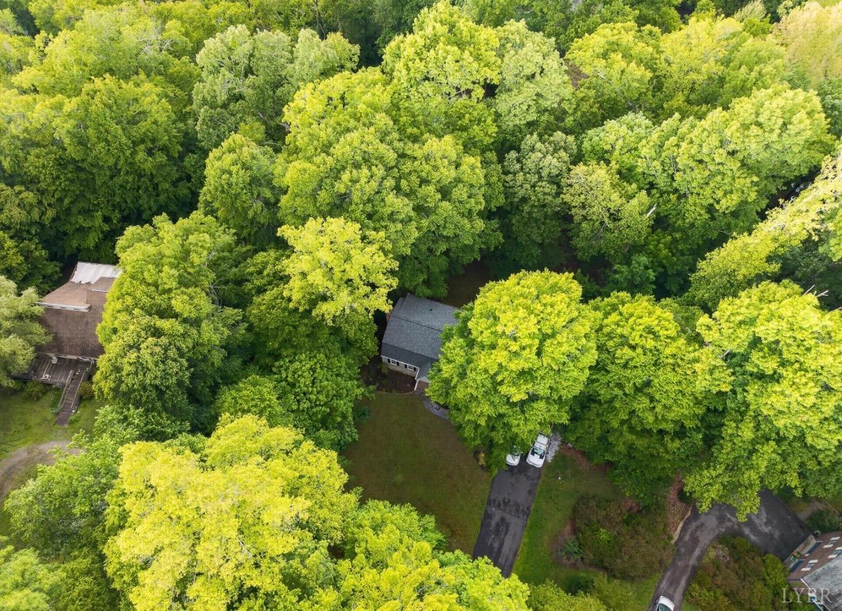 275 Fox Hill Road Rice, VA 23966 - Photo 57 of 58
