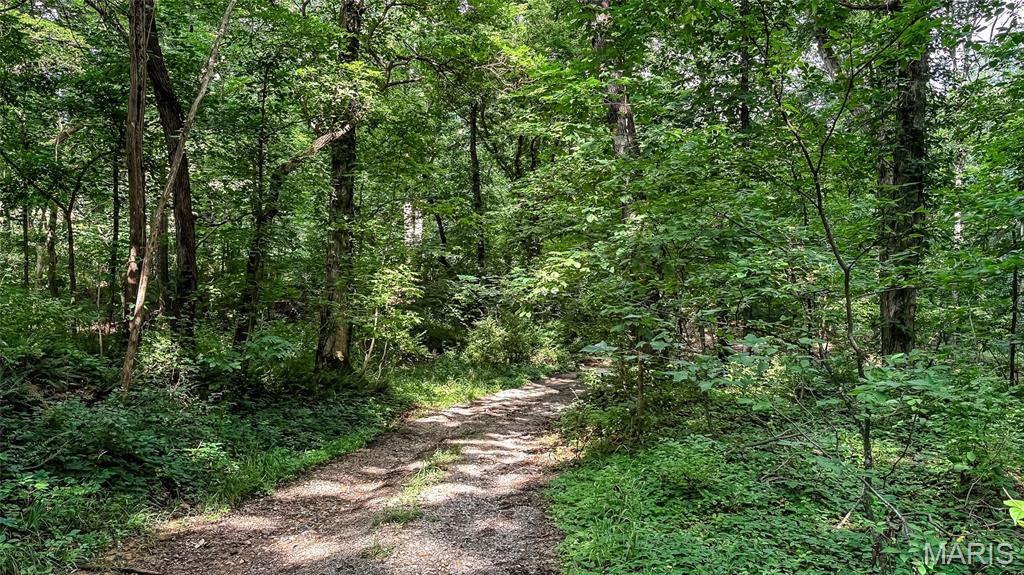 Along Wine Hill Road Steeleville, IL 62288 - Photo 59 of 95 Gallery Image 59