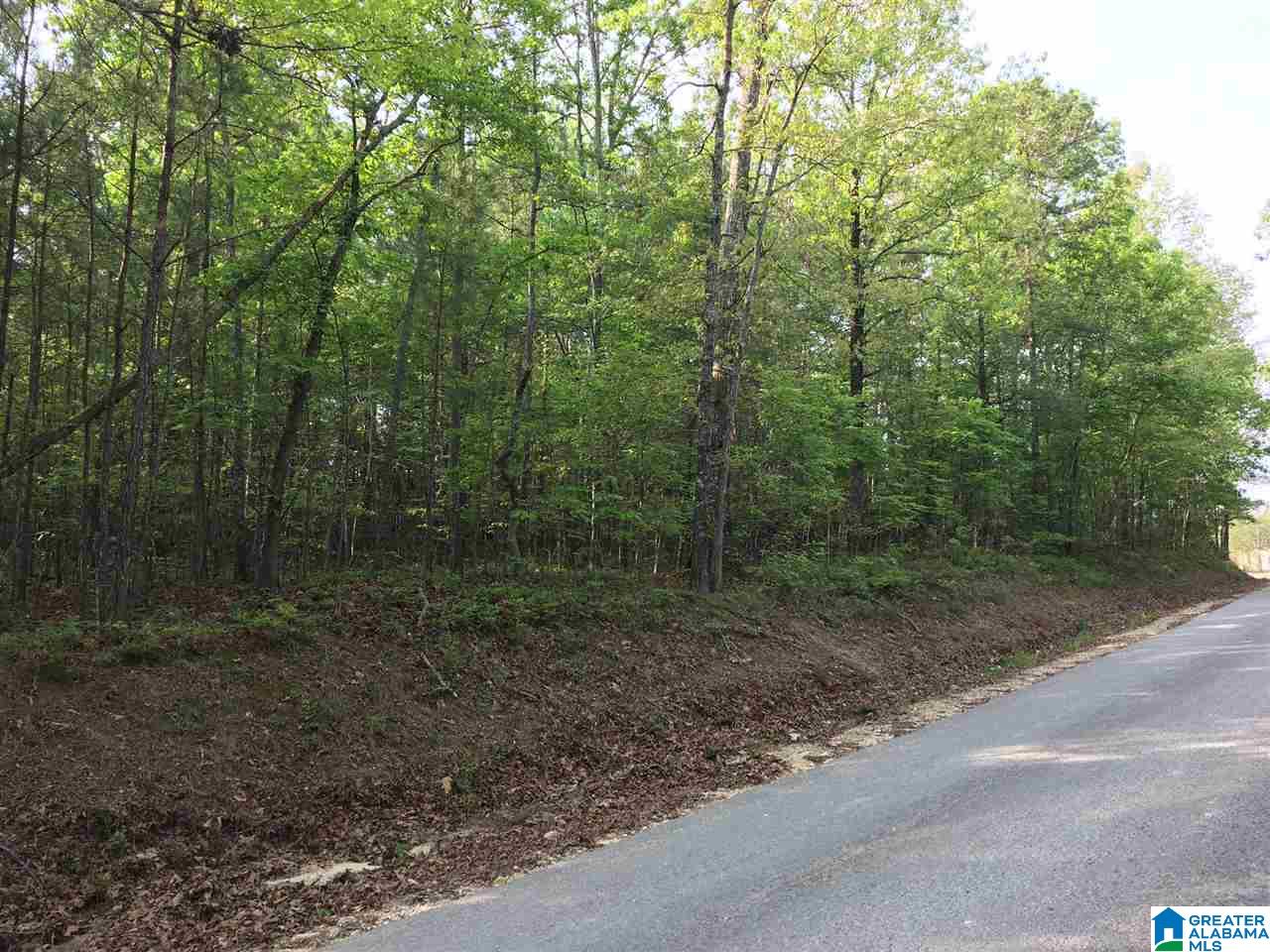0 Lakeview Canyon Road, Unit 2 7 Ashville, AL 35953 - Photo 1 of 5