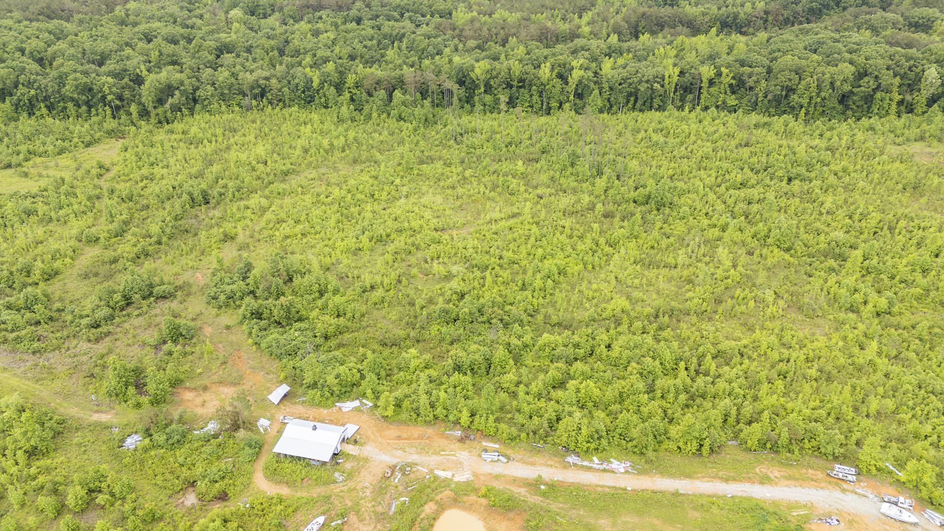 0 Leapwood Enville Road Adamsville, TN 38310 - Photo 11 of 38 a view of a yard