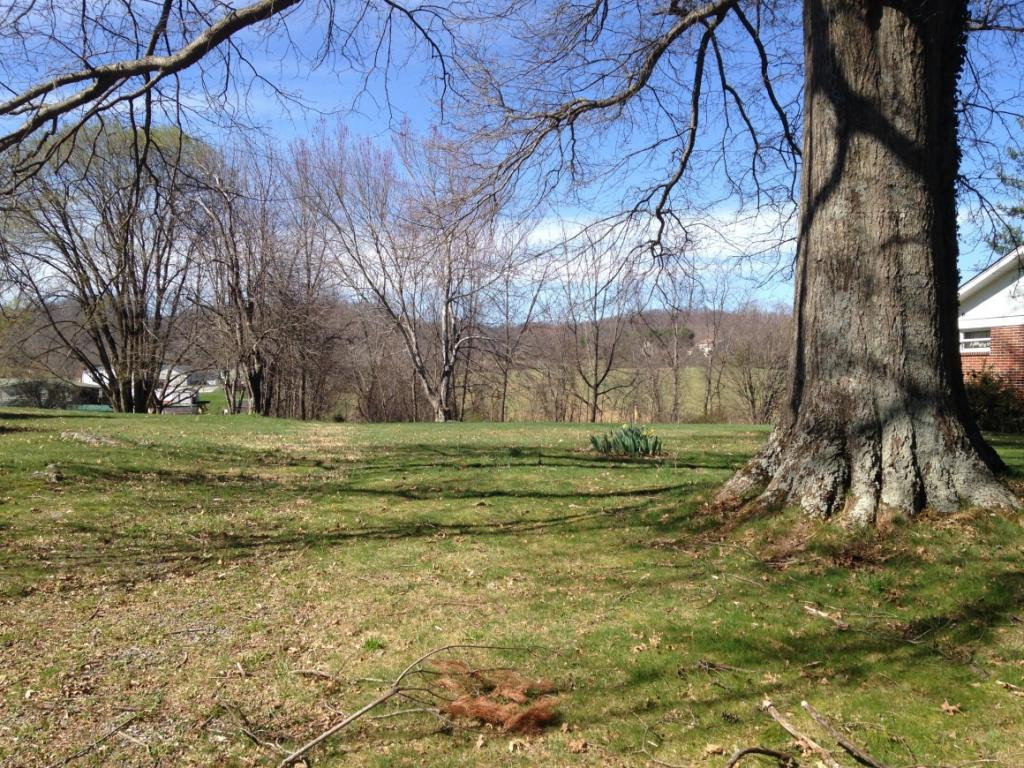 515 V I Ranch Road Bristol, TN 37620 - Photo 1 of 10 Park to left of this tree