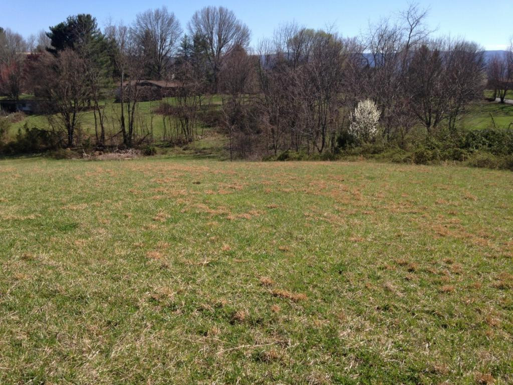 515 V I Ranch Road Bristol, TN 37620 - Photo 3 of 10 Photo 3